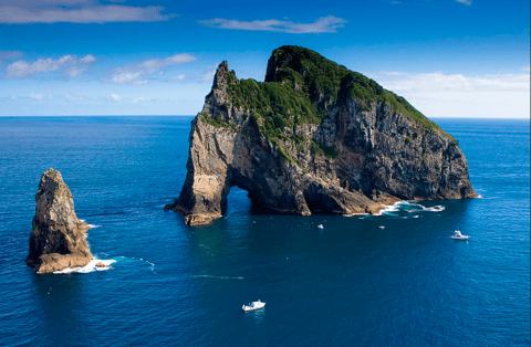 Elephant Rock Bay of Islands New Zealand