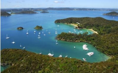 Summer in the Far North and Bay of Islands