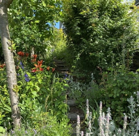 garden_b4 Image of the beautiful garden at Treghan