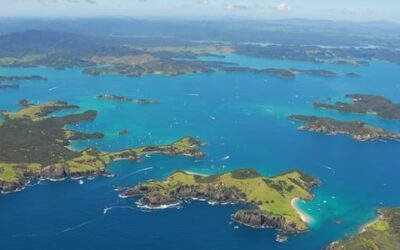 Travelling The Bay Of Islands