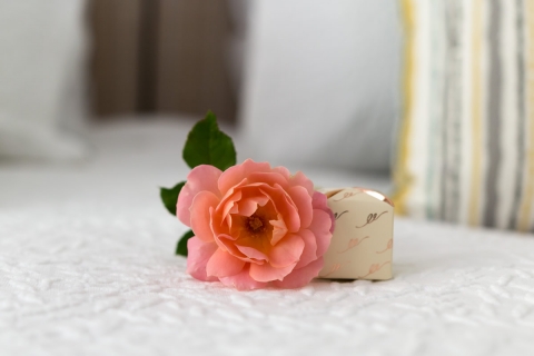 tranquility_rose Picture of Rose from the garden at Tranquility Retreat