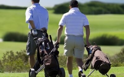 Golf Courses and Golf Packages In Northland