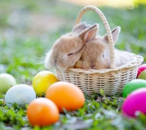 Picture showing Easter basket with bunnies and colourful easter eggs