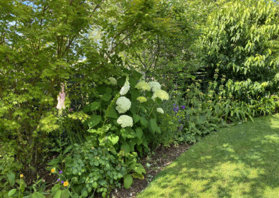 Treghan Lodge gardens