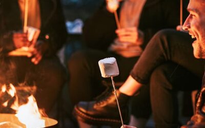 Winter in the Bay of Islands