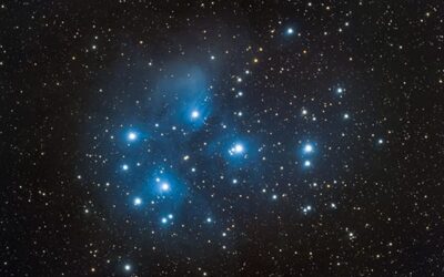 Celebrate Matariki with Us – All of July 2026