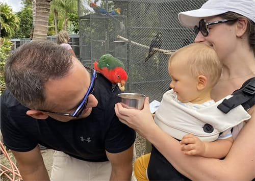 school-parrot Visiting the Parrot Place Kerikeri