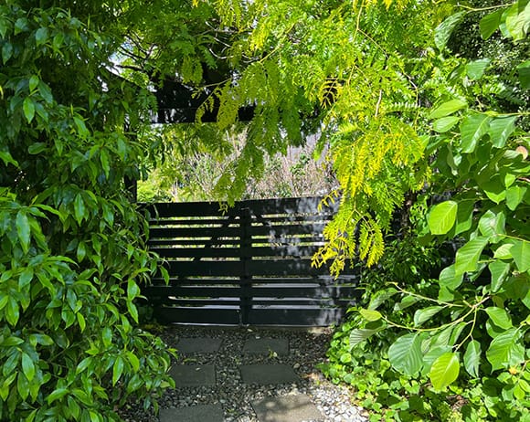 Peaceful garden setting at Treghan Lodge, near Kerikeri, Bay of Islands