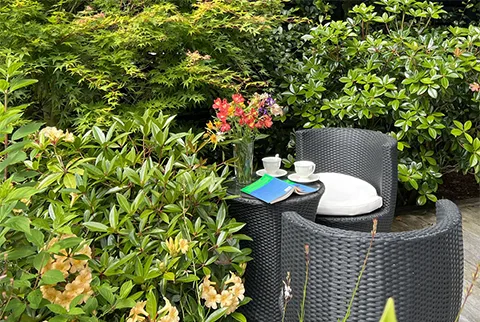 Owners Cottage tea for two on the deck