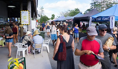 Kerikeri’s Must-Visit Markets – Local and Seasonal