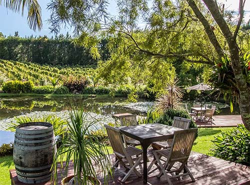 Marsden Estate vineyard and restaurant in Kerikeri, Bay of Islands