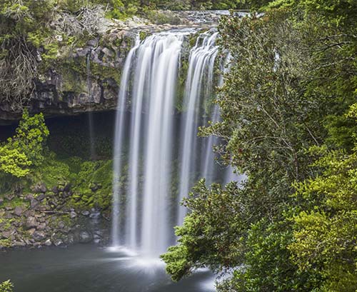Rainbow Falls waterfall near Kerikeri in the Bay of Islands