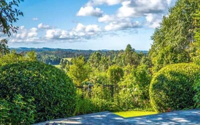 Autumn Living – A Slower Season in the Bay of Islands