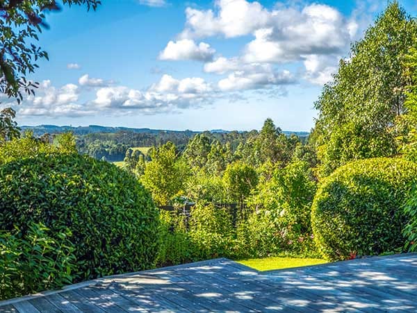 Garden and countryside view from Treghan Luxury Lodge Bay of Islands