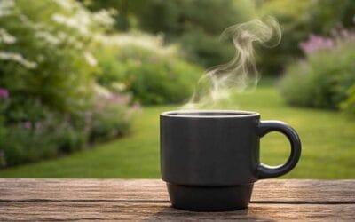 The Classic Far North Escape – Discover the Bay of Islands from Your Private Guesthouse