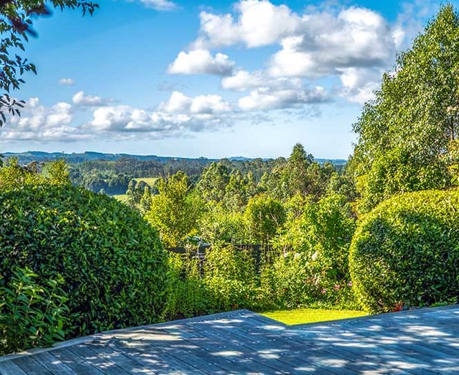 The Classic Far North Escape – Discover the Bay of Islands from Your Private Guesthouse