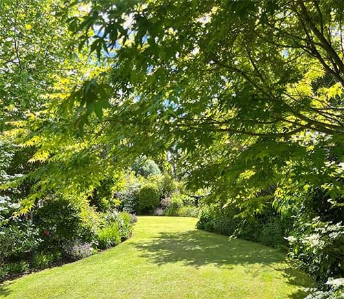 Leafy garden path at Treghan Lodge, dappled summer light and established trees creating a peaceful retreat