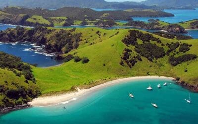 Discover the Bay of Islands & Far North