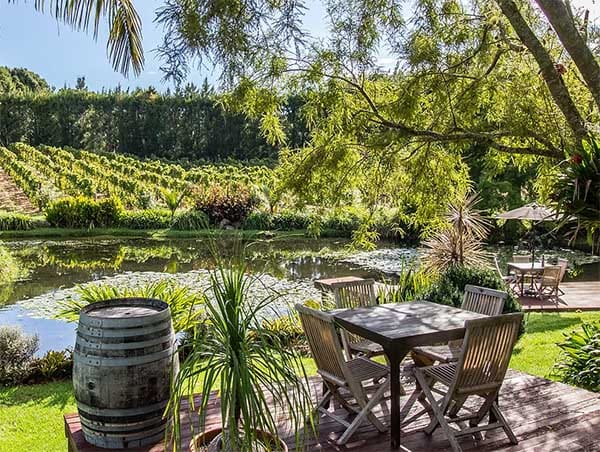 Relaxed vineyard setting in Kerikeri, Northland, during a Bay of Islands food and wine experience Relaxed vineyard setting in Kerikeri, Northland, during a Bay of Islands food and wine experience