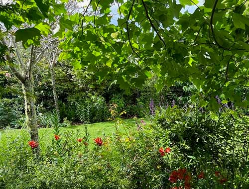 Private garden view from Owner’s Cottage 
