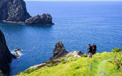 Best Walks Near Kerikeri