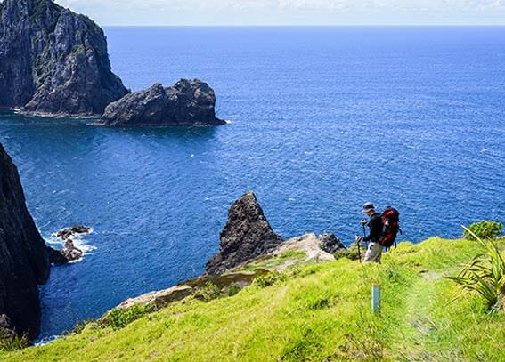 Best Walks Near Kerikeri