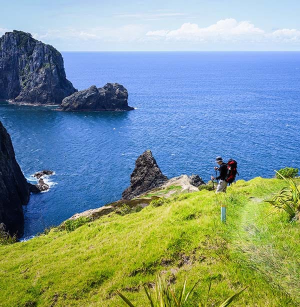 Walker on the Cape Brett Track with coastal views over the Bay of Islands, Northland, New Zealand