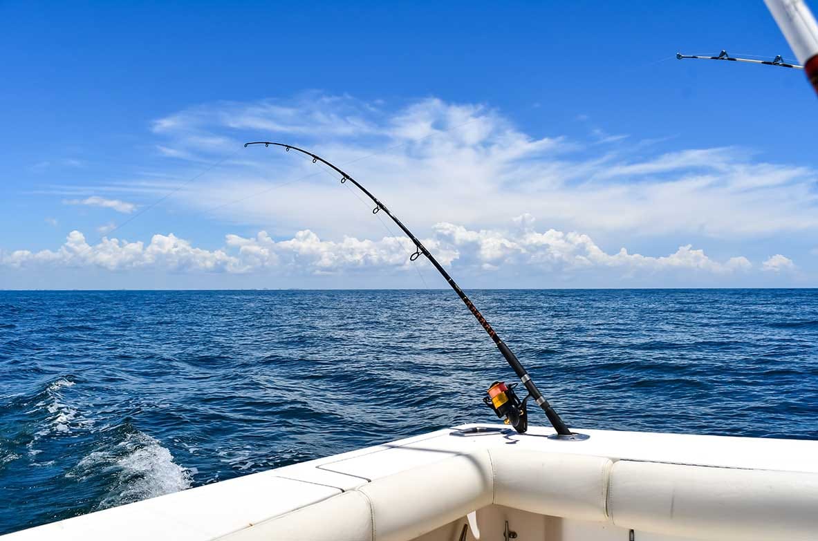 Fishing charter exploring the waters of the Bay of Islands Fishing charter exploring the waters of the Bay of Islands