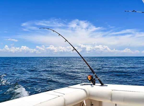 Fishing in the Bay of Islands & Far North