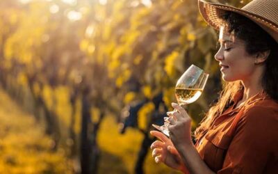 Wine and Food in the Far North