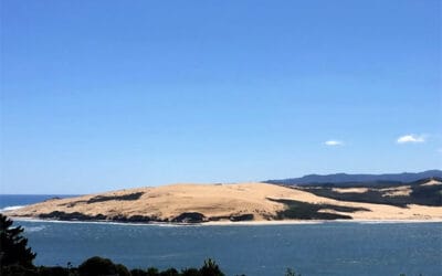 Hokianga Harbour Day Trip from Kerikeri