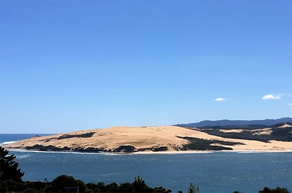 Hokianga Harbour Day Trip from Kerikeri