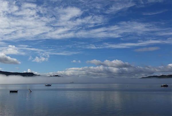 View across Hokianga Harbour from the Boatshed Café, Rawene