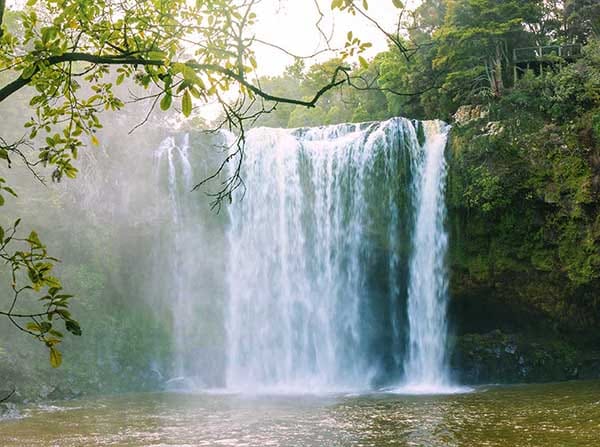 Waterfalls & Swimming Holes in the Bay of Islands