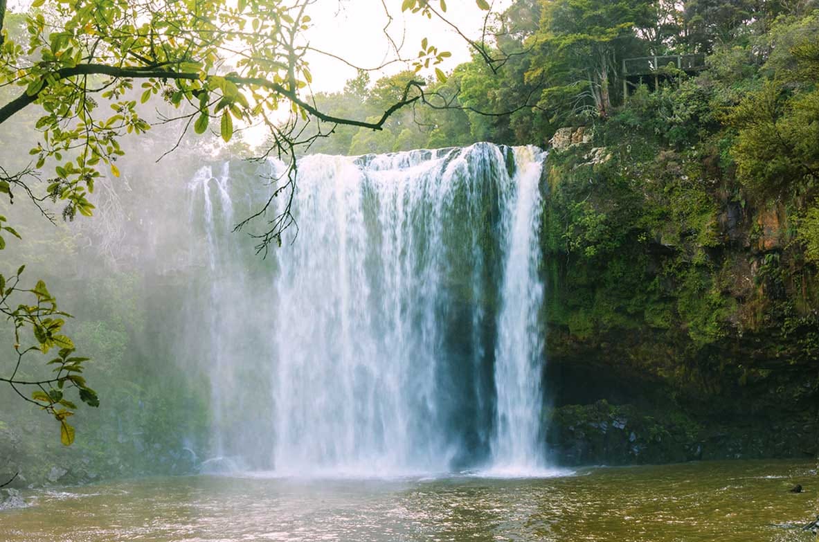 Discover hidden swimming spots, forest walks and beautiful waterfalls, all within easy reach of Kerikeri. Discover hidden swimming spots, forest walks and beautiful waterfalls, all within easy reach of Kerikeri.