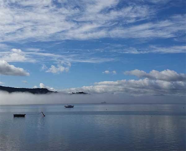 Morning mist over Hokianga Harbour seen from The Boatshed Café in Rawene, Hokianga, Northland, New Zealand.