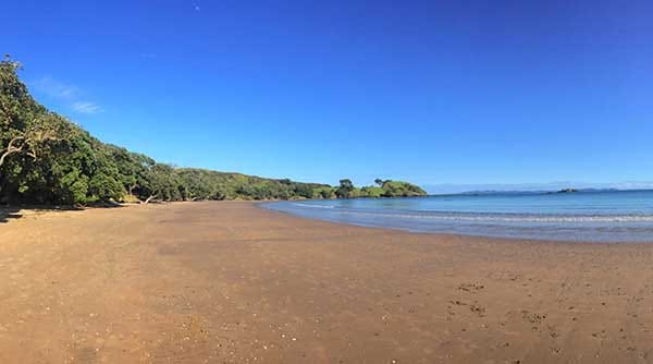 A Relaxed Day Exploring Mangonui & Doubtless Bay
