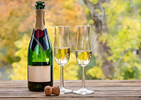 Bottle of Champagne with two glasses for an anniversary or special celebration at Treghan Lodge, Bay of Islands