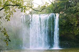 Discover hidden swimming spots, forest walks and beautiful waterfalls, all within easy reach of Kerikeri. Discover hidden swimming spots, forest walks and beautiful waterfalls, all within easy reach of Kerikeri.