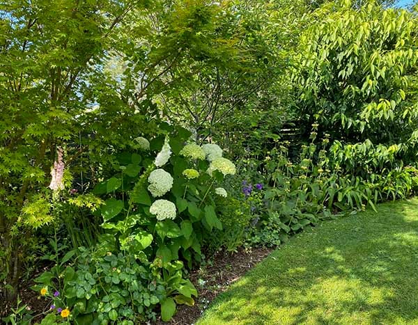 Country cottage garden Kerikeri Far North Country cottage garden Kerikeri Far North